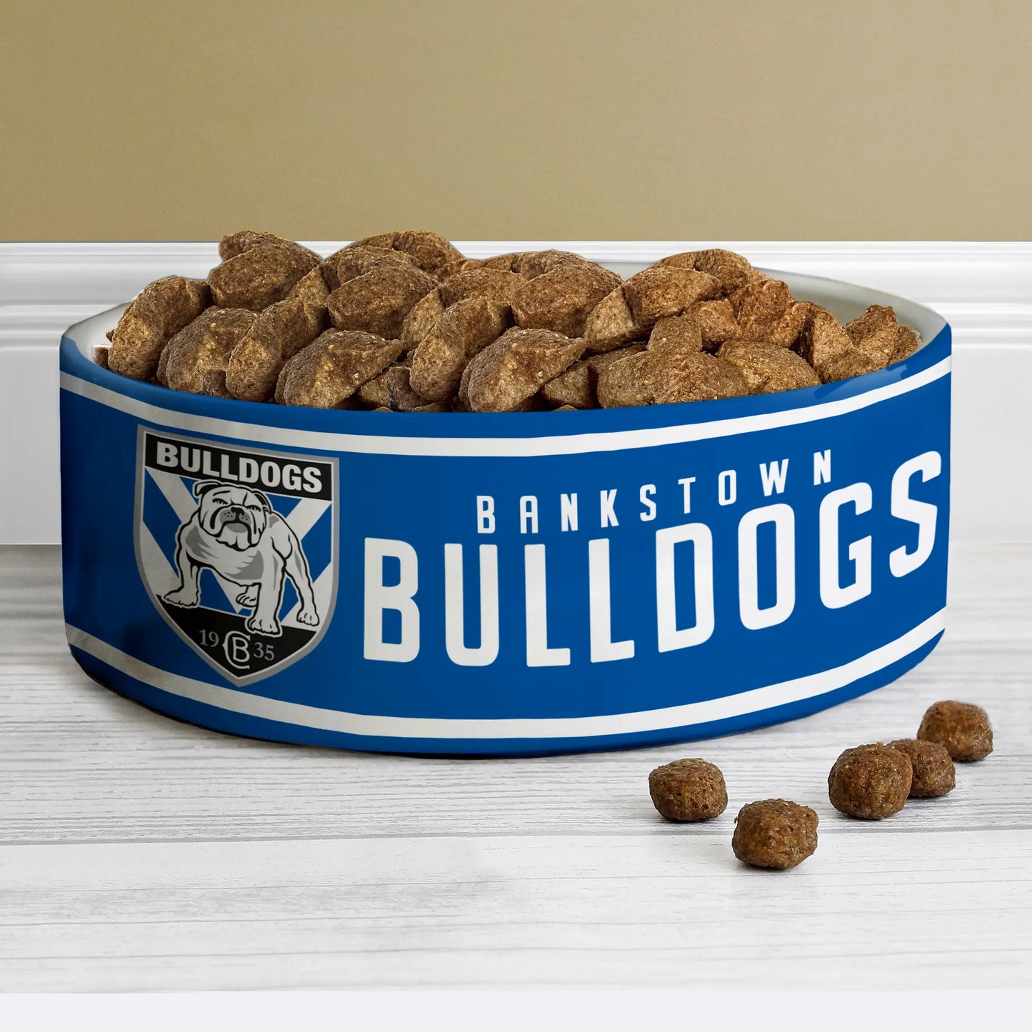 CBY Personalized Custom Ceramic Pet Bowl 3
