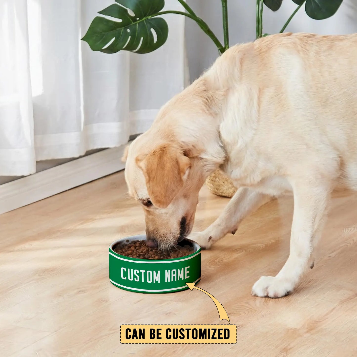 NZL Personalized Custom Ceramic Pet Bowl 3