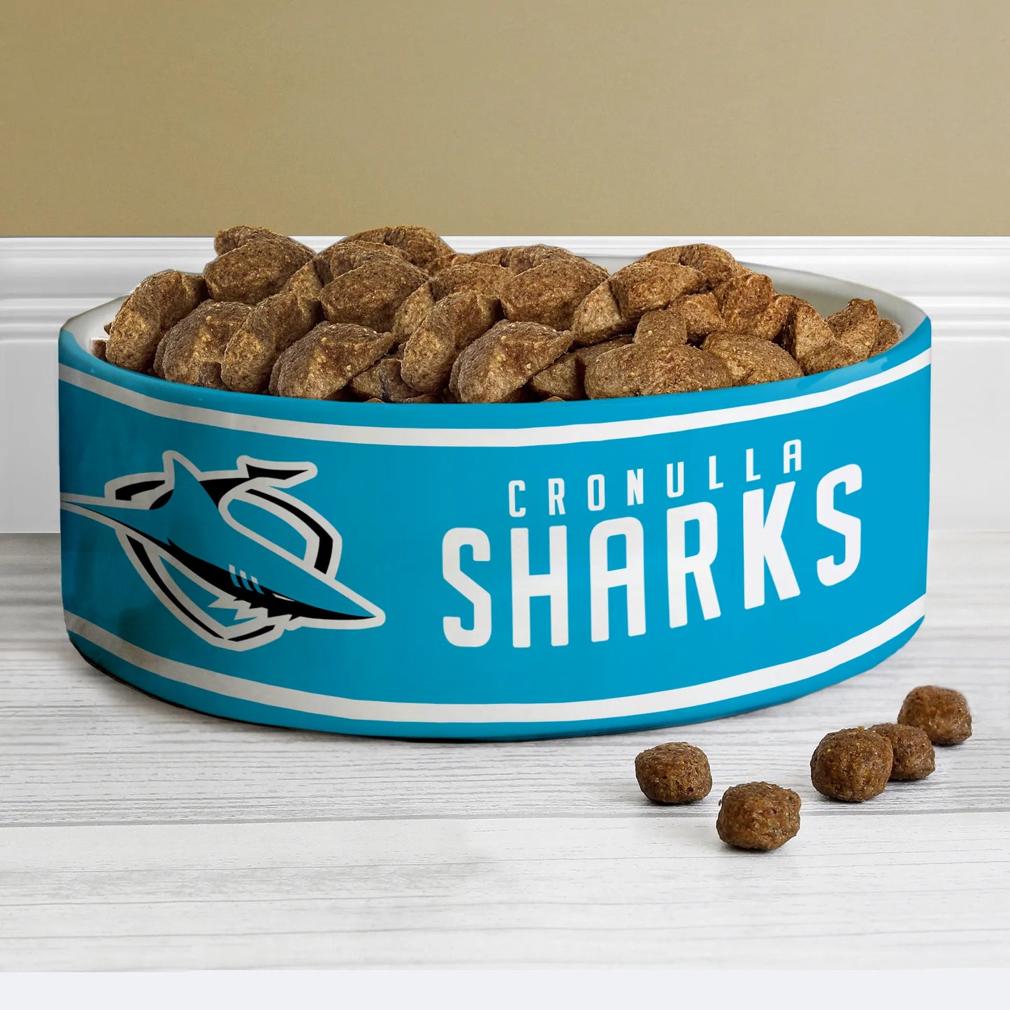 CRO Personalized Custom Ceramic Pet Bowl 3