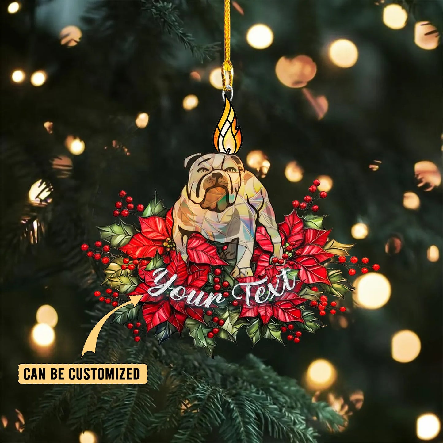 CBY Personalized Custom Acrylic Ornament 6