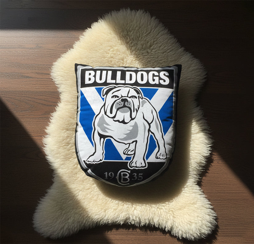 CBY Personalized Custom Shaped Pillow