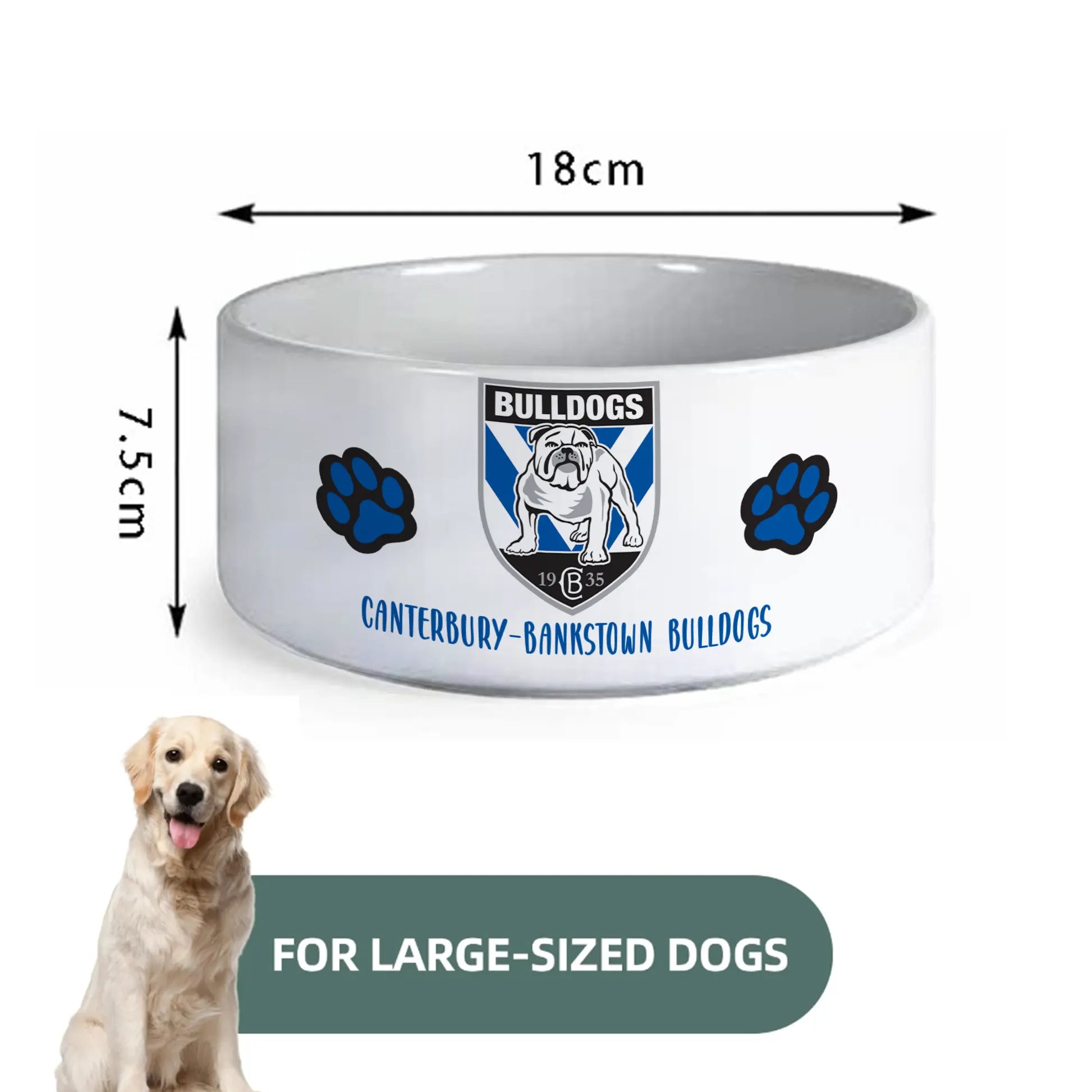 CBY Personalized Custom Ceramic Pet Bowl 1