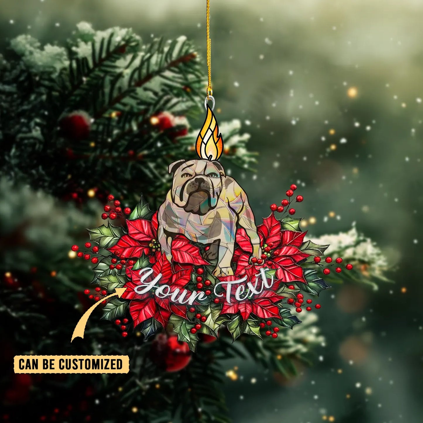 CBY Personalized Custom Acrylic Ornament 6