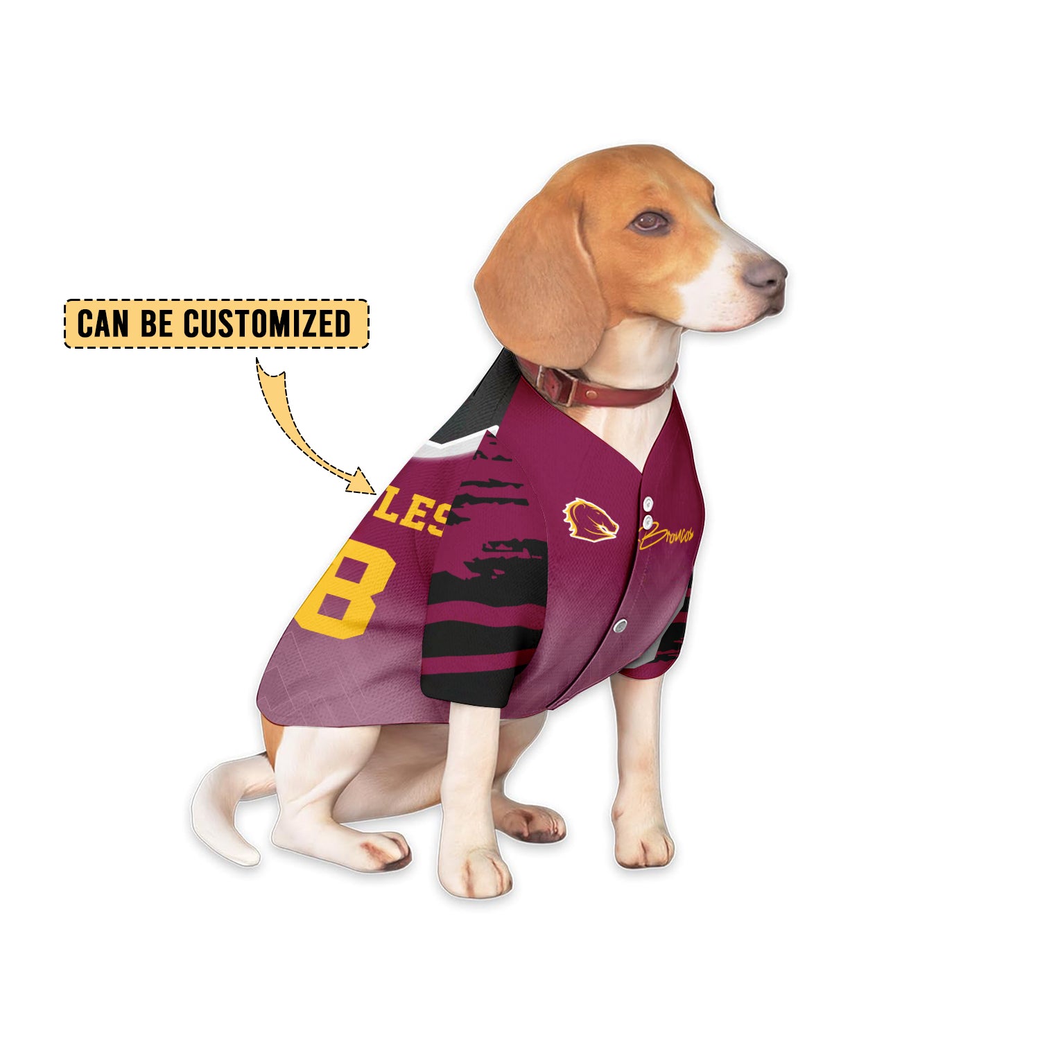 BRI Personalized Custom Pet Baseball Jersey 7