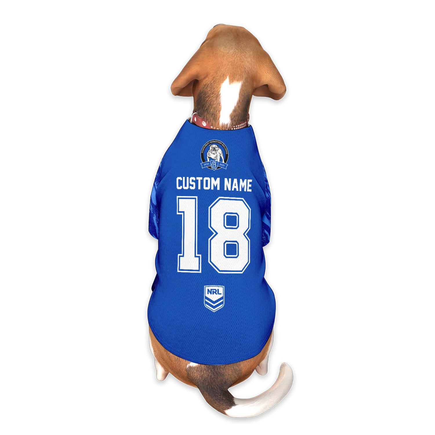 CBY Personalized Custom Pet Baseball Jersey 5