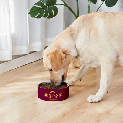 BRI Personalized Custom Ceramic Pet Bowl 1