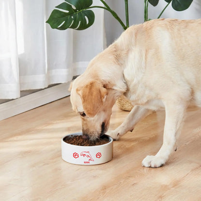 DOL Personalized Custom Ceramic Pet Bowl 1