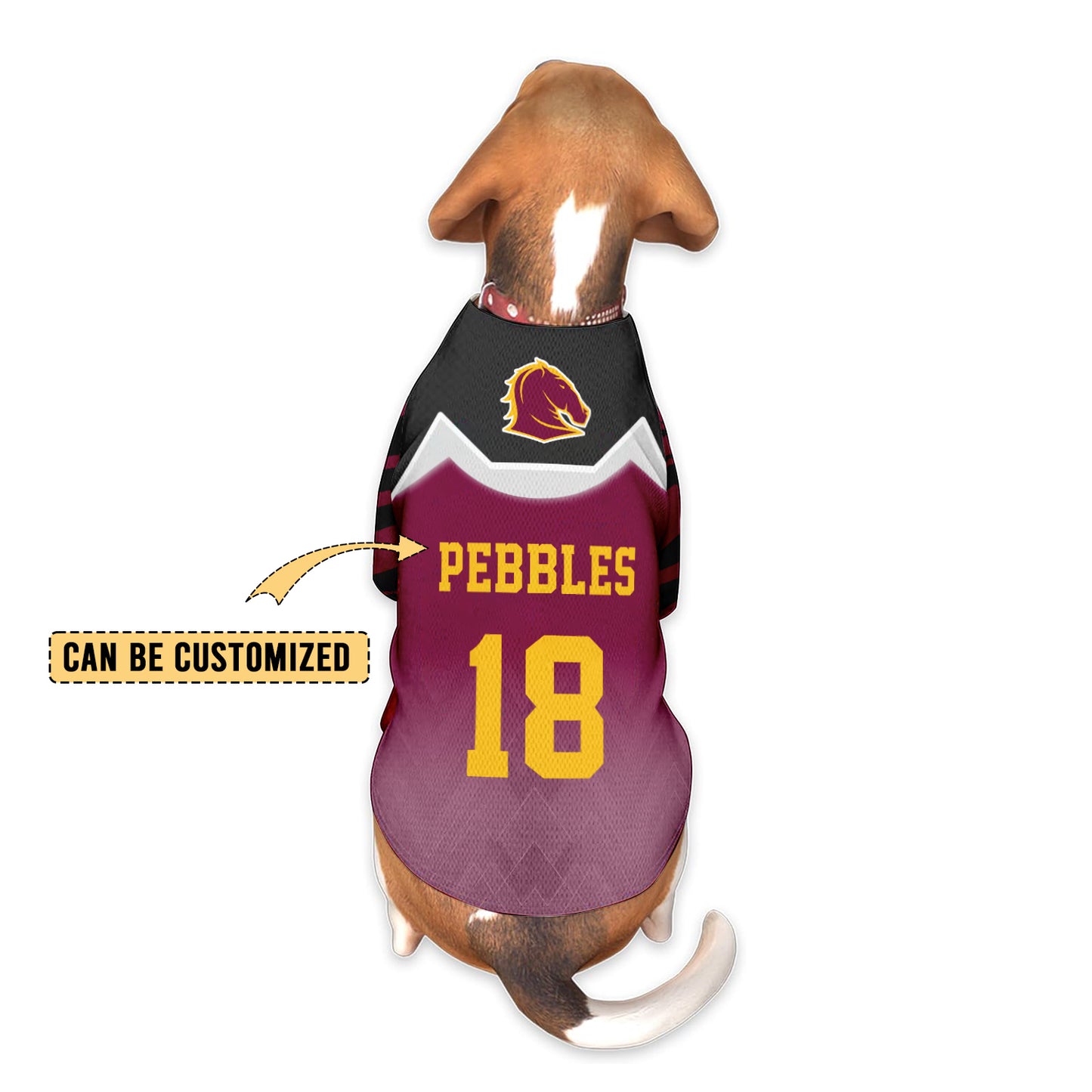BRI Personalized Custom Pet Baseball Jersey 7