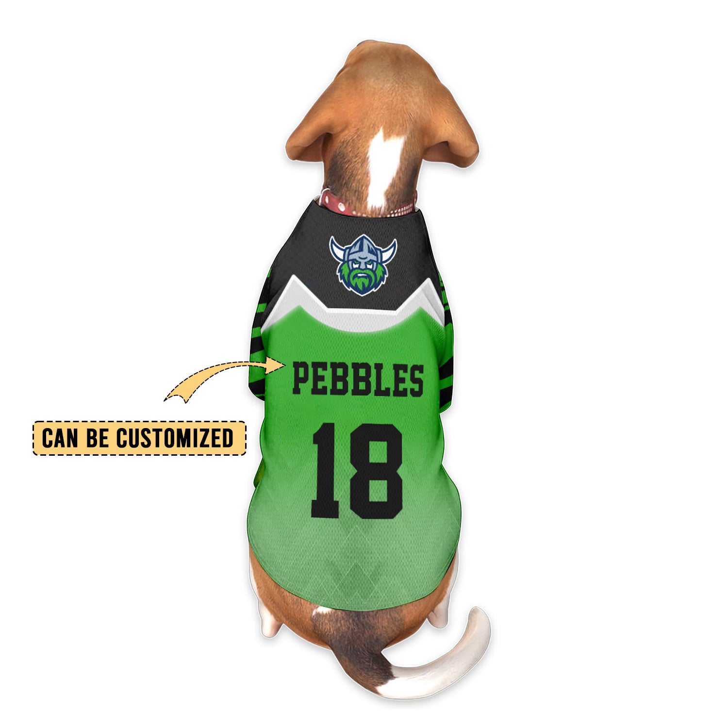 CAN Personalized Custom Pet Baseball Jersey 7
