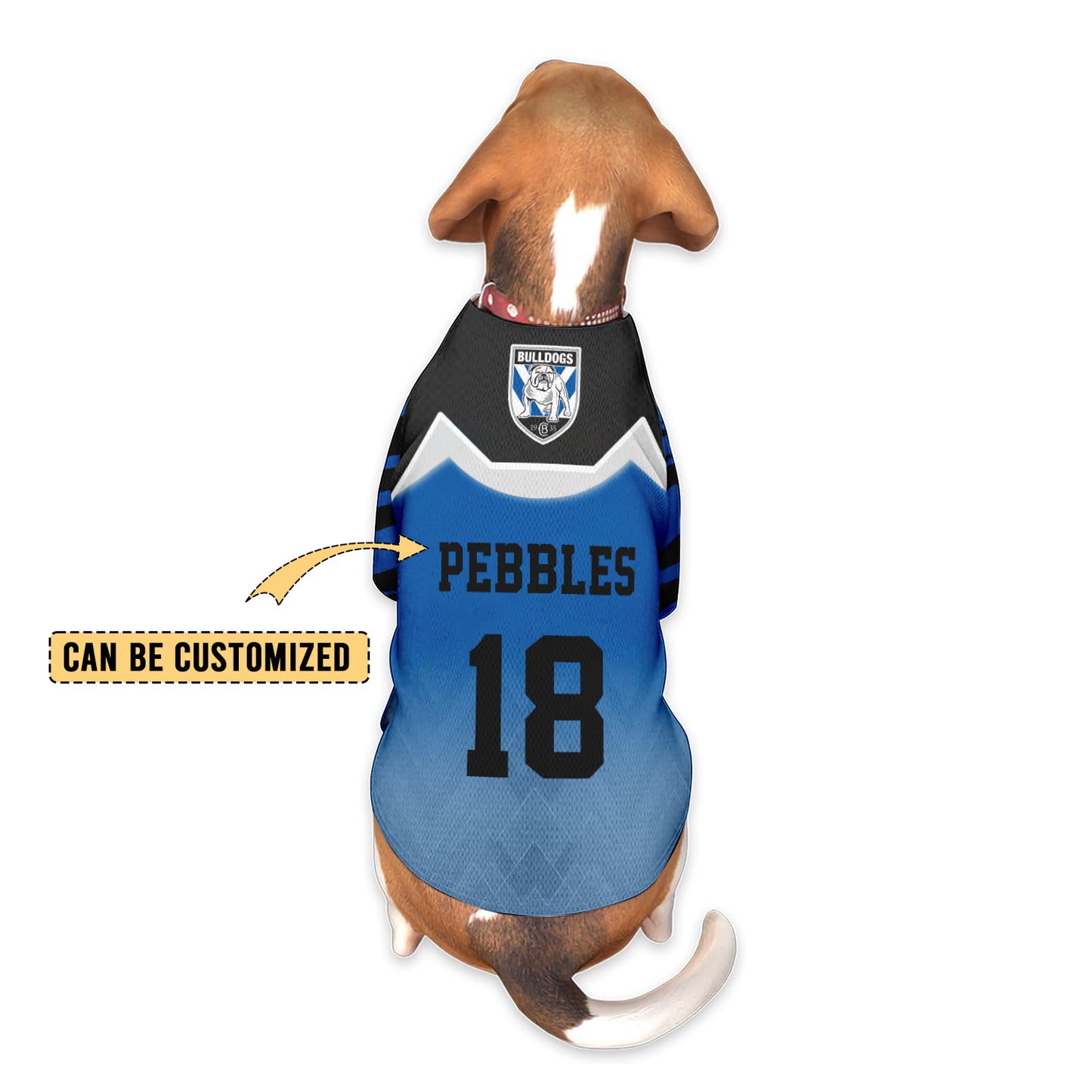 CBY Personalized Custom Pet Baseball Jersey 7