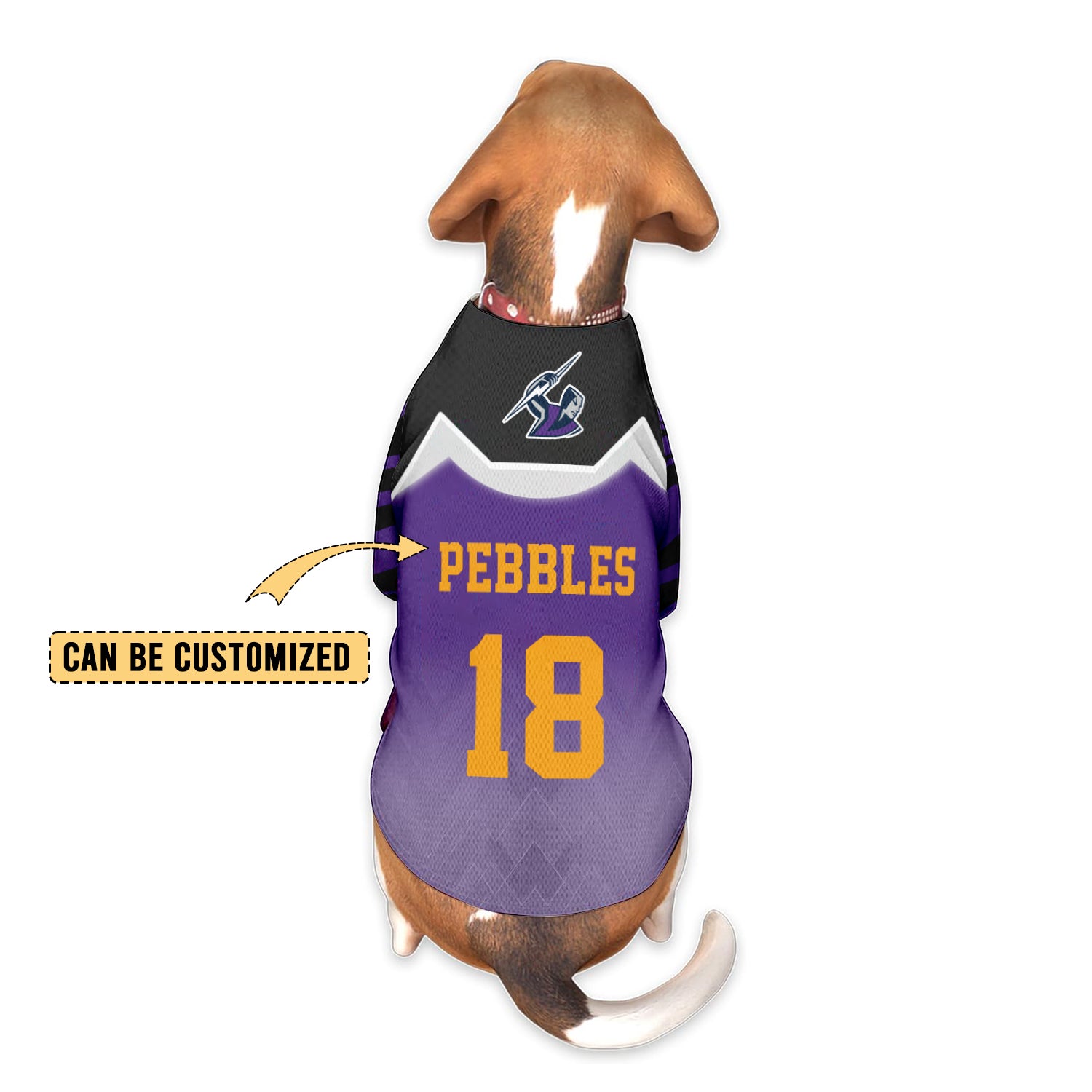 MEL Personalized Custom Pet Baseball Jersey 7