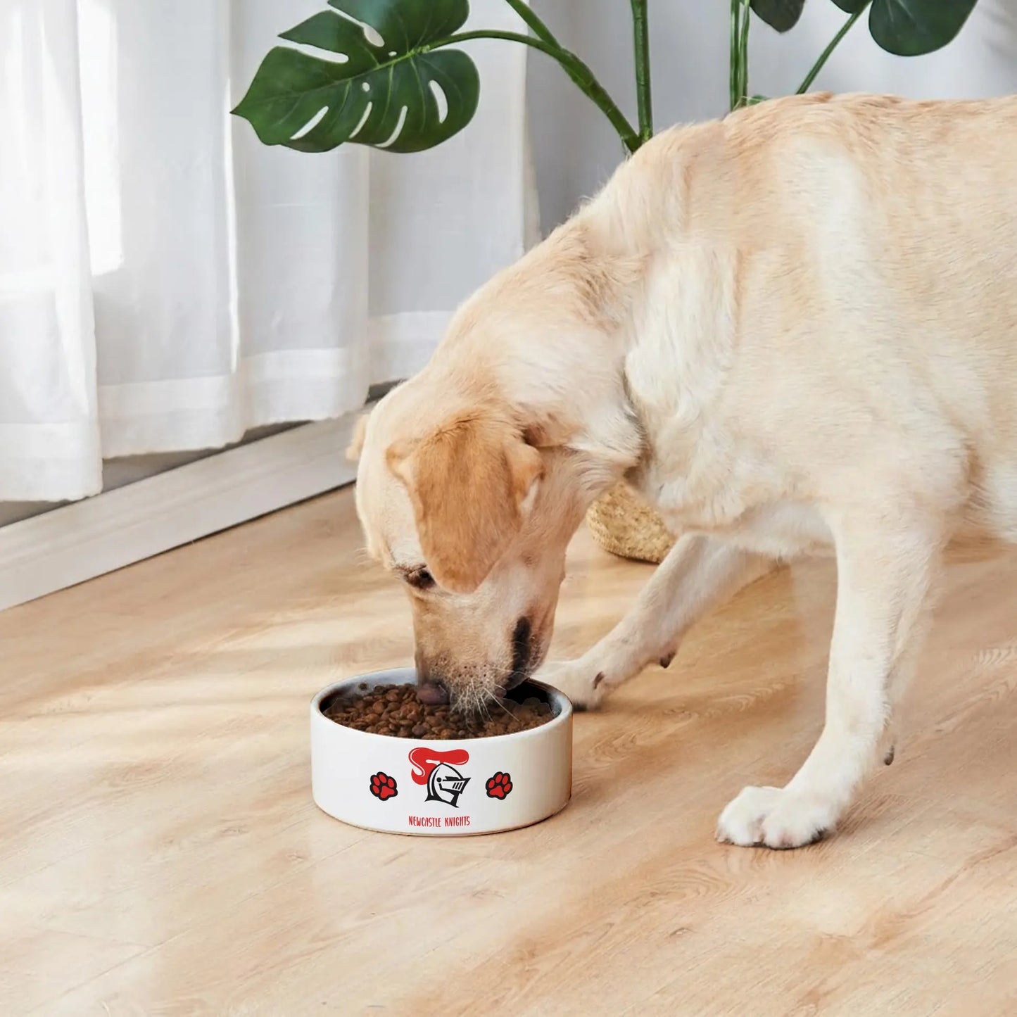 NEW Personalized Custom Ceramic Pet Bowl 1