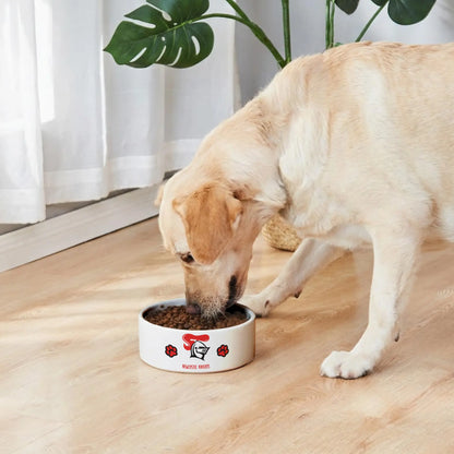 NEW Personalized Custom Ceramic Pet Bowl 1