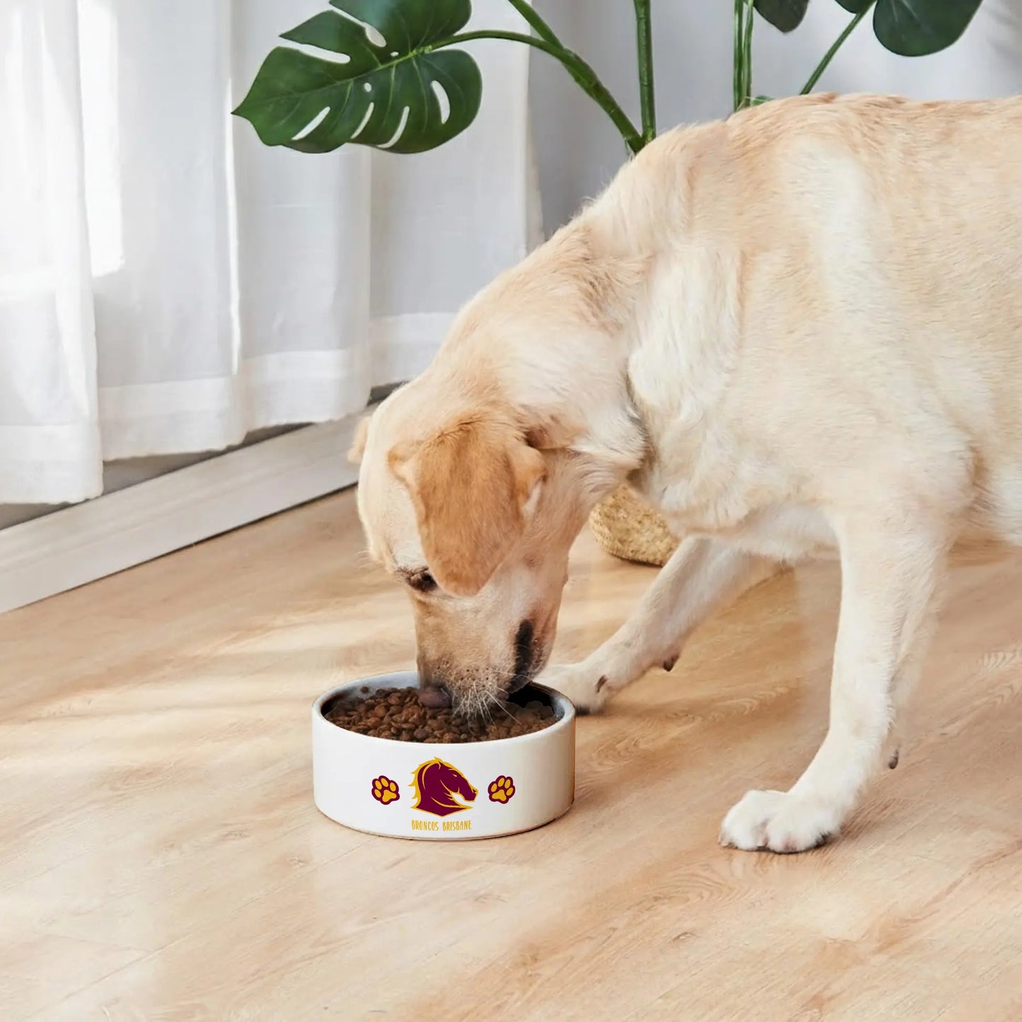 BRI Personalized Custom Ceramic Pet Bowl 2