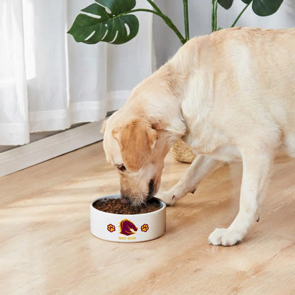BRI Personalized Custom Ceramic Pet Bowl 2