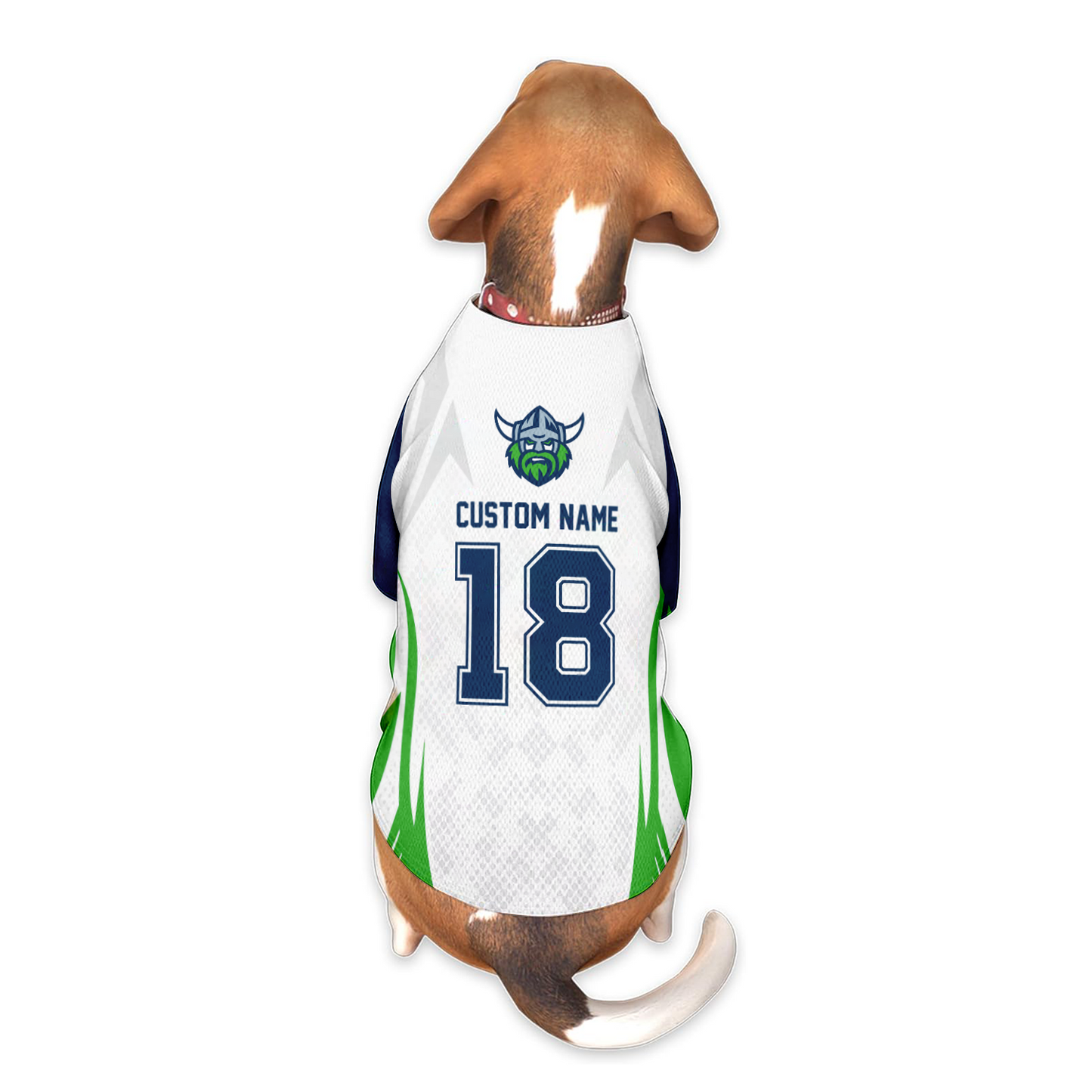 CAN Personalized Custom Pet Baseball Jersey 3