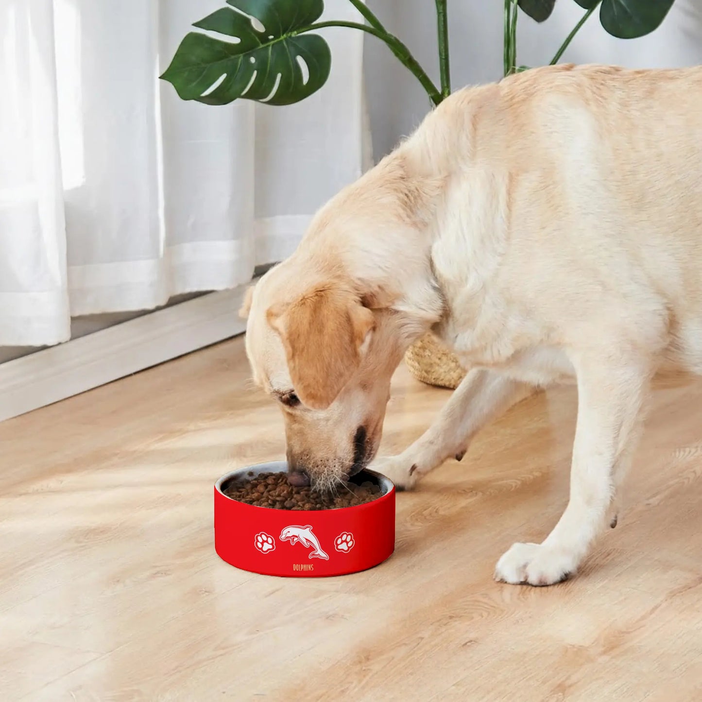 DOL Personalized Custom Ceramic Pet Bowl 2