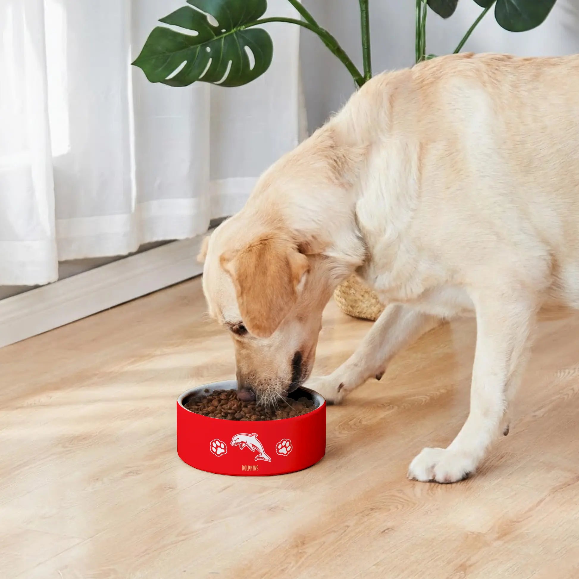 DOL Personalized Custom Ceramic Pet Bowl 2