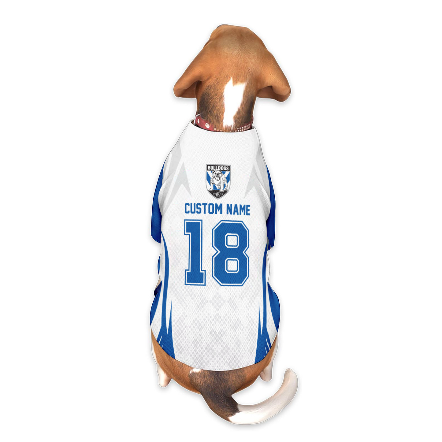 CBY Personalized Custom Pet Baseball Jersey 3