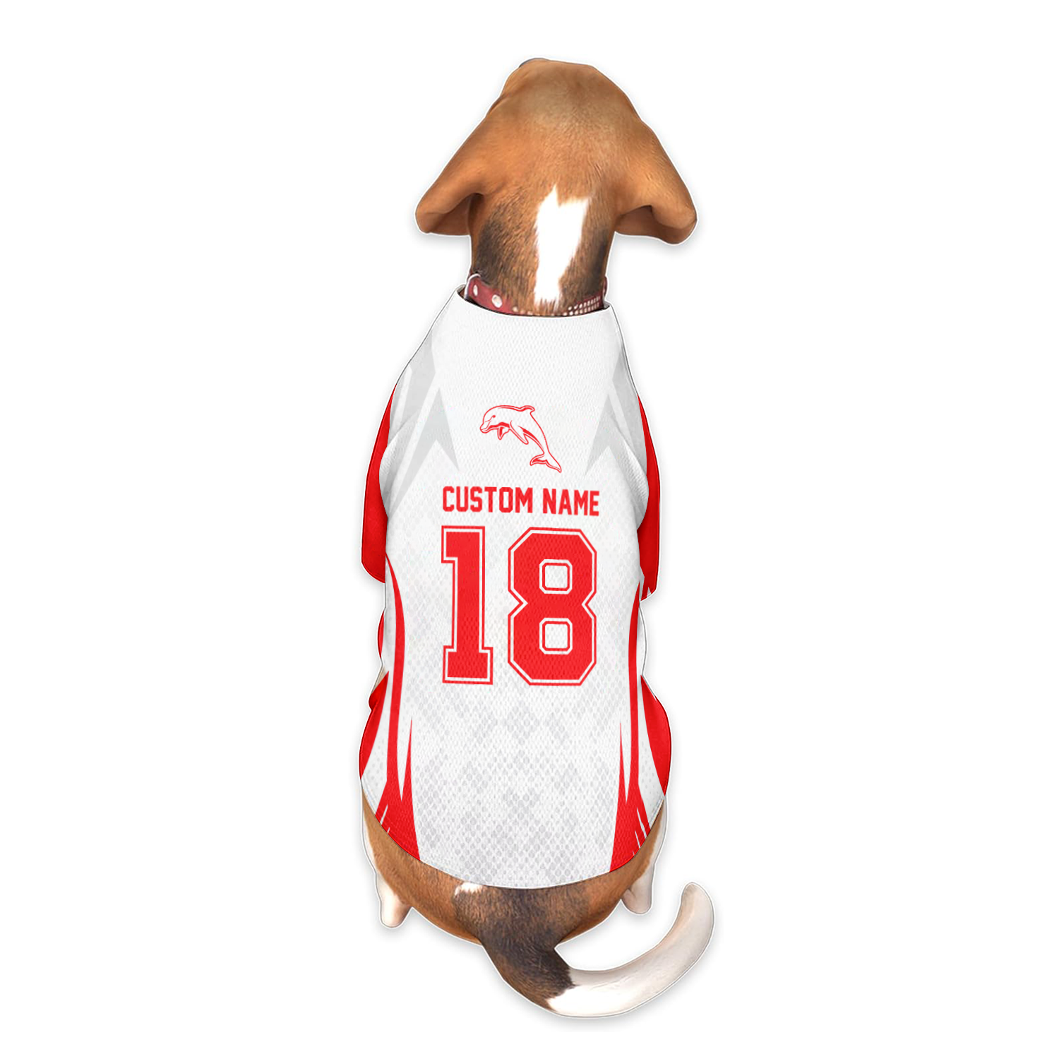 DOL Personalized Custom Pet Baseball Jersey 3