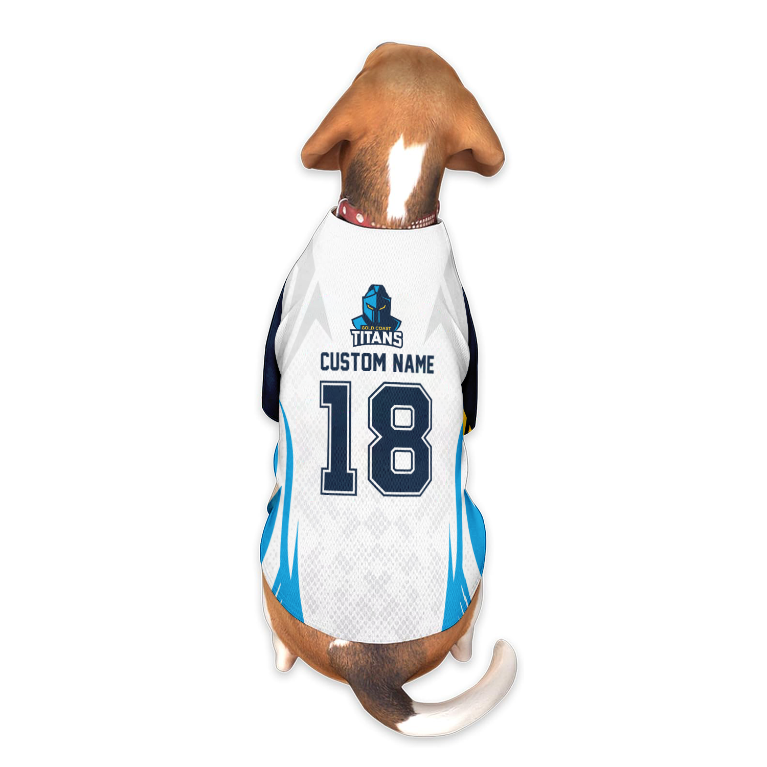GLD Personalized Custom Pet Baseball Jersey 3
