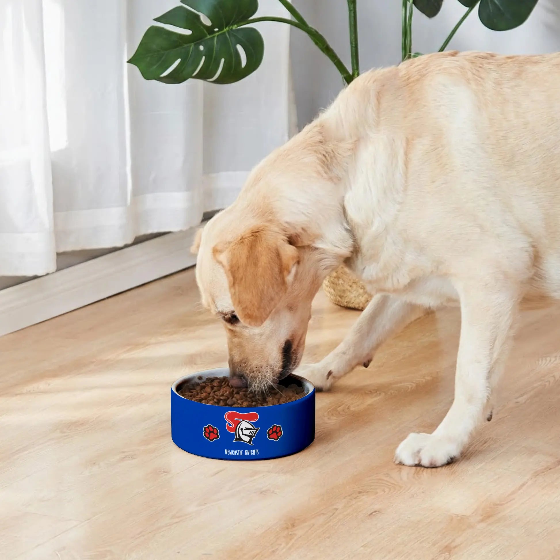 NEW Personalized Custom Ceramic Pet Bowl 2