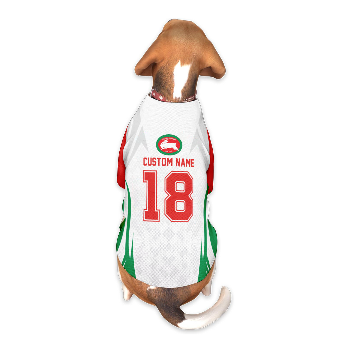 SOU Personalized Custom Pet Baseball Jersey 3
