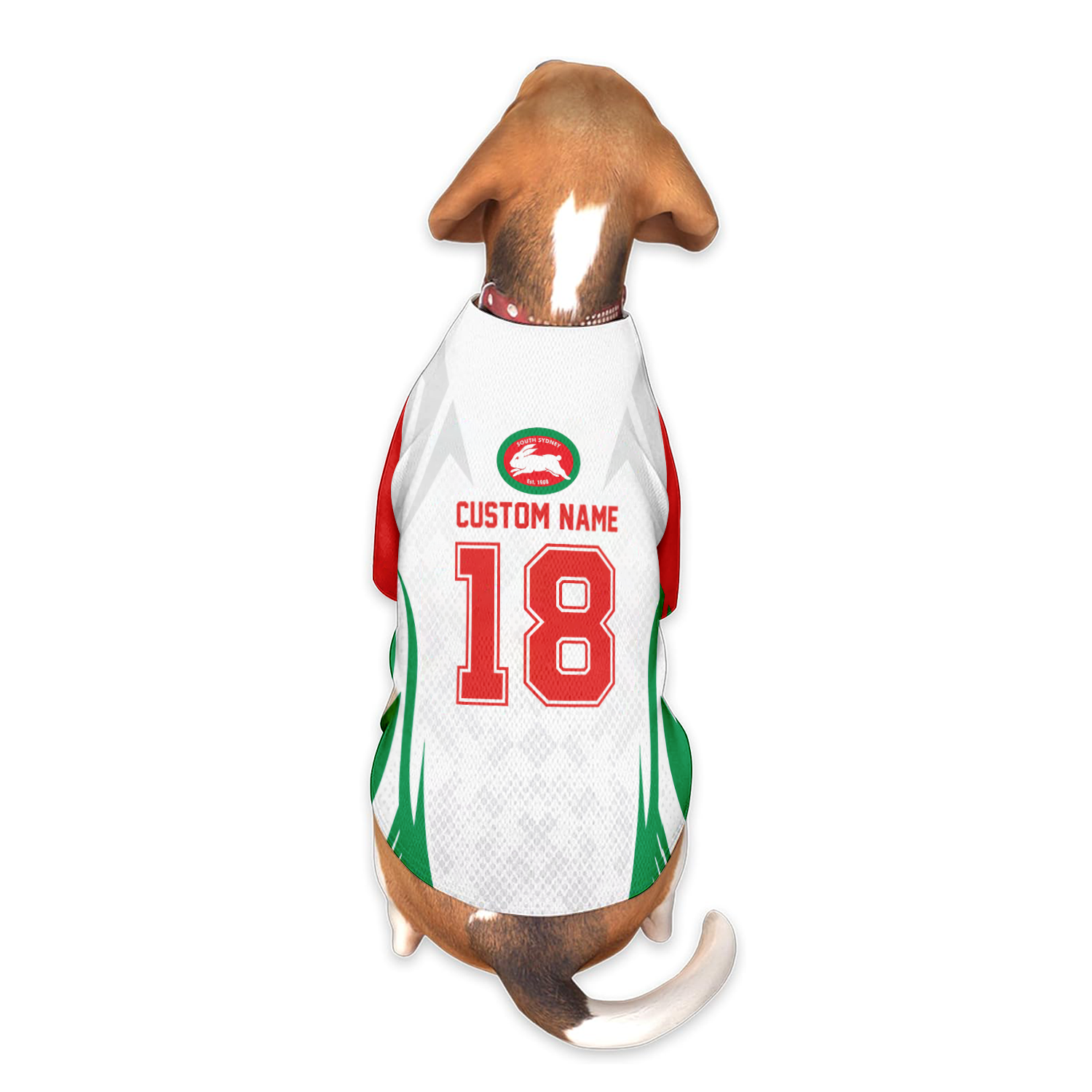 SOU Personalized Custom Pet Baseball Jersey 3